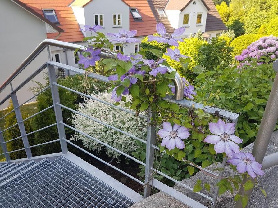 Ferienwohnung Frieda Flensburg Bagian luar foto